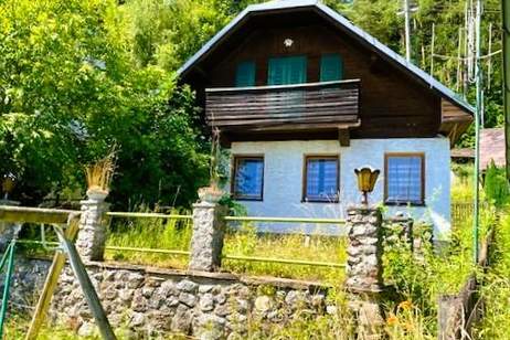 Mehr als 5000m² Grund! Wo sich Fuchs und Hase "gute Nacht" sagen!, Haus-kauf, 175.000,€, 2640 Neunkirchen