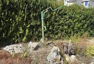 Großes Grundstück in Waldrandlage mit Altbestand zum Sanieren