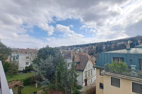 Sanierungsbedürftige 4-Zimmer Terrassen-Wohnung mit viel Potenzial!, Wohnung-kauf, 690.000,€, 1190 Wien 19., Döbling