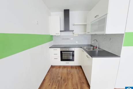 Zentral gelegenes 1-Zimmer-Apartment in ruhiger Seitengasse des 7. Bezirks, Wohnung-kauf, 249.000,€, 1070 Wien 7., Neubau