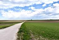 EINZIGARTIGES NATURPARADIES - GROSSZÜGIGER LANDSITZ WO PARKLANDSCHAFT AUF BLÜHENDE OBSTGÄRTEN TRIFFT