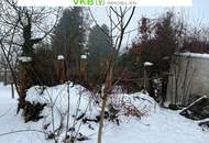 Naturnah & ruhig: Grundstück mit Altbestand in Spattendorf - Gemeinde Alberndorf in der Riedmark (GST 2438/1)