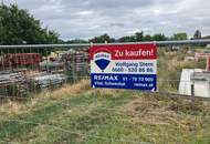 Günstige Grundstücke in Bockfließ