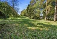 Wo die Seele ihr Zuhause findet: Ein Kunstwerk zwischen Wald und Wien