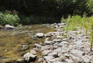 Wo die Natur zuhause ist – Ehemalige FISCHZUCHT mit vielseitigem Potenzial