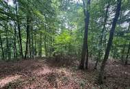 Idyllisches Grundstück am Ende einer Sackgasse – sonniger Bauplatz mit eigenem Wald