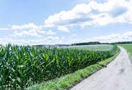 Perfektes Gewerbegrundstück mit Grünblick in Wolfern