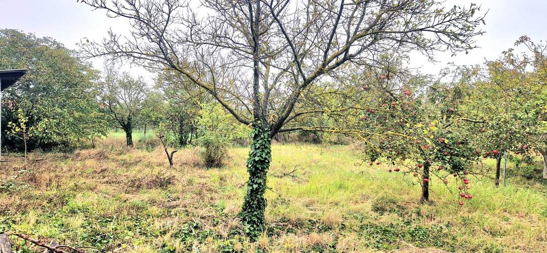 Doppelgrundstück möglich !!!