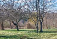 Wohnhaus in ruhiger Lage