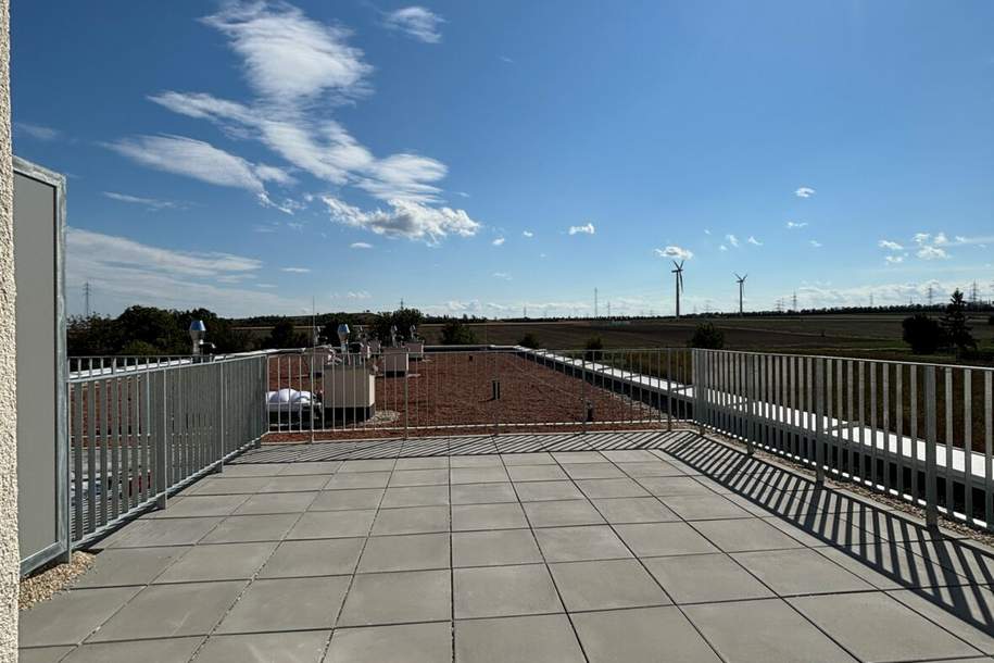 ZU VERMIETEN! bezugsfertige 3-Zimmer-Terrassenwohnung _Top 24_Wohnen im Kleegarten, Wohnung-miete, 1.479,93,€, 2320 Bruck an der Leitha