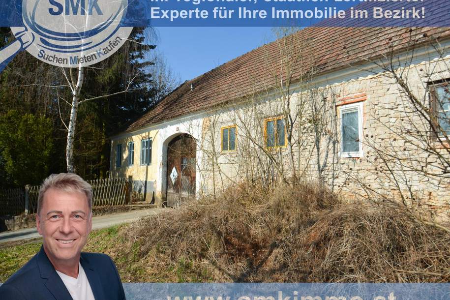 Zum Ausbau freigegeben: altes Bauernhaus + riesiges Grundstück!, Haus-kauf, 78.000,€, 3842 Waidhofen an der Thaya