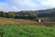 Die eigene Ranch auf 9,2ha Grund und Wald verwirklichen (Provisionsfrei)