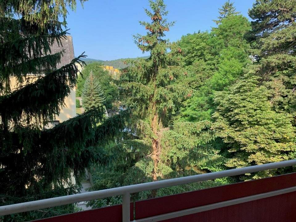 Wohnung mit Loggia