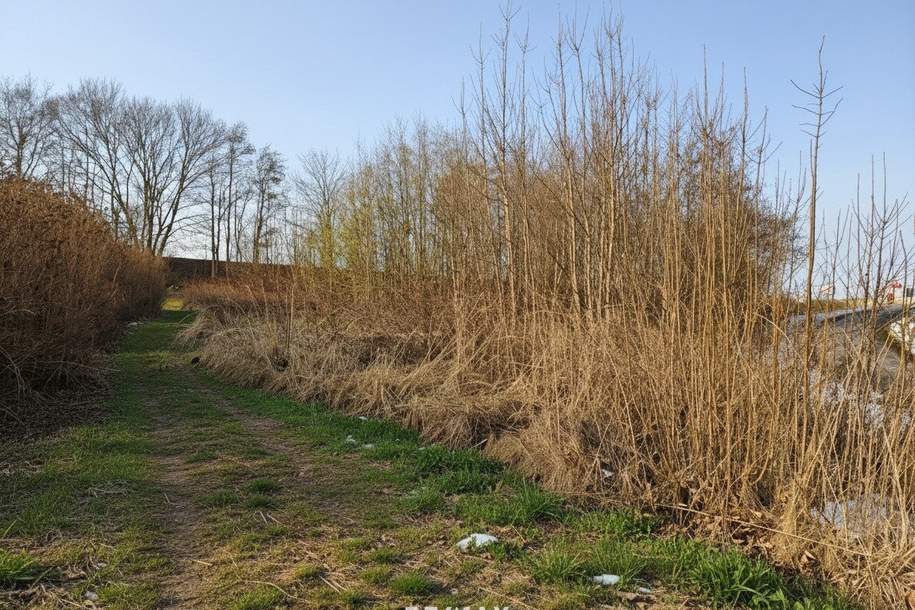 Baugrundstück in Kobernaußen ohne Bauzwang, Grund und Boden-kauf, 109.600,€, 4923 Ried im Innkreis