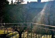 LANDHAUS in TOPLAGE - BURGBLICK