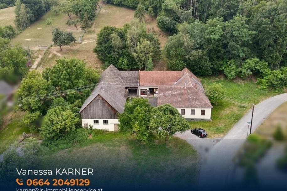 Traditioneller Vierkanthof mit Sanierungsbedarf, großem Grund, Ruhelage &amp; guter Anbindung in Wiesfleck, Haus-kauf, 169.000,€, 7425 Oberwart