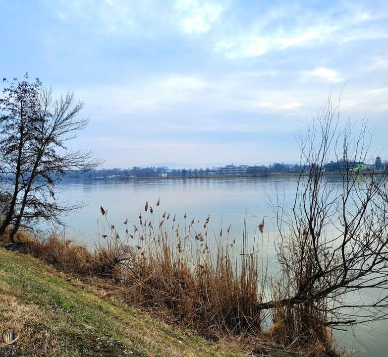 **Hier können Sie sich ihren persönlichen Wohntraum erfüllen** Traumhaftes Grundstück in fußläufiger Nähe zur Donau