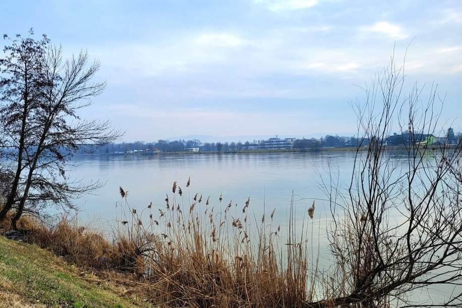 **Hier können Sie sich ihren persönlichen Wohntraum erfüllen** Traumhaftes Grundstück in fußläufiger Nähe zur Donau, Grund und Boden-kauf, 292.000,€, 3430 Tulln