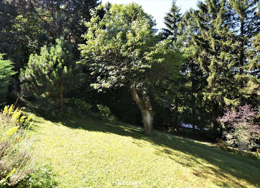 Baugrundstück im Augustinerwald - Naturidylle mit Hanglage