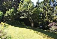 Baugrundstück im Augustinerwald - Naturidylle mit Hanglage