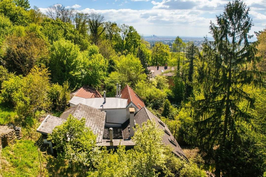 Ehemaliges Weinhauerhaus in einzigartiger Sieveringer Lage wartet auf Revitalisierung!