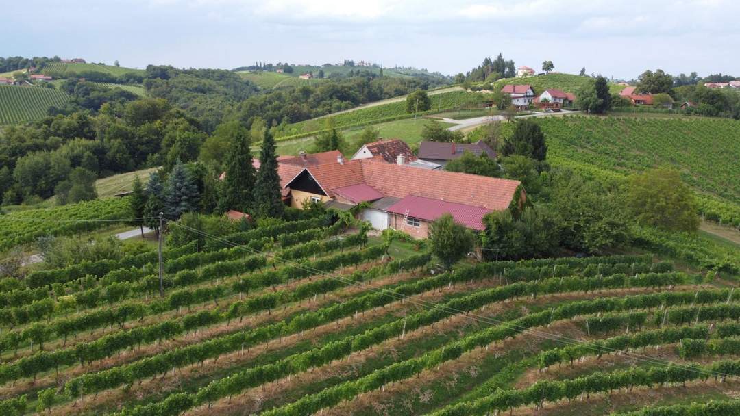 IN SLOWENIEN - Weingut in der berühmten Weinbauregion JERUZALEM