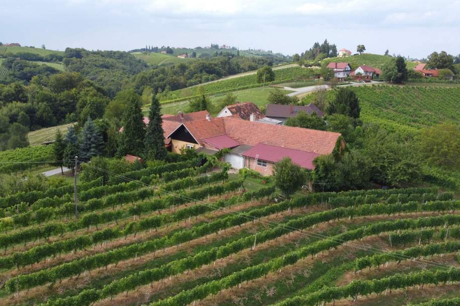 IN SLOWENIEN - Weingut in der berühmten Weinbauregion JERUZALEM, Haus-kauf, 299.000,€, 8490 Südoststeiermark
