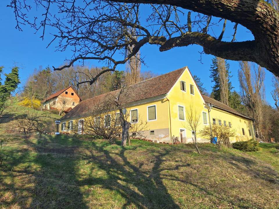 ALLEINLAGE: Sanierungsbedürftiger Vierkanthof mit ca. 17ha Land zu verkaufen