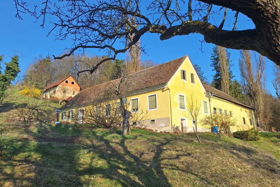 ALLEINLAGE: Sanierungsbedürftiger Vierkanthof mit ca. 17ha Land zu verkaufen, Gewerbeobjekt-kauf, 461.345,€, 8280 Hartberg-Fürstenfeld