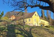 ALLEINLAGE: Sanierungsbedürftiger Vierkanthof mit ca. 17ha Land zu verkaufen