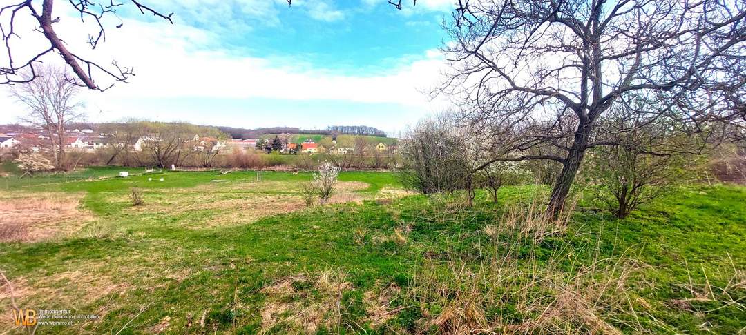 Blick über die Flußlandschaft, 3663m² Gesamtfläche, ca.1200m² reiner Baugrund