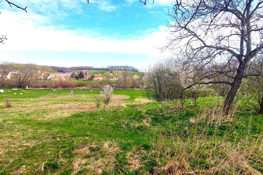 Blick über die Flußlandschaft, 3663m² Gesamtfläche, ca.1200m² reiner Baugrund, Grund und Boden-kauf, 449.000,€, 2473 Neusiedl am See