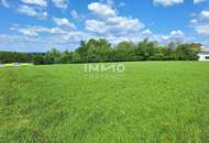 Betriebsbaugrund mit 4.872 m² direkt an der B1 auch erweiterbar!