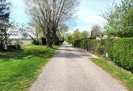 Einmalige Rückzugsoase direkt am Donau-Oder-Kanal