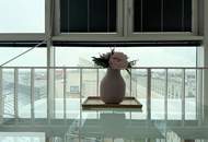 Nähe U1 - Ruhelage - Maisonettewohnung - bei Station Vorgartenstraße, Messe Wien, WU und Praterstern (U1,U2)