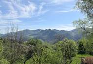 Traumhafte Lage am Frohnberg in Miesenbach - Weitblick, Ruhe und Erholung auf 91m², 3-4 Zi., Balkon, Terrasse