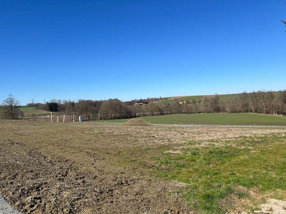 Schön geschnittenes Grundstück in guter Lage Nähe Ortsbereich