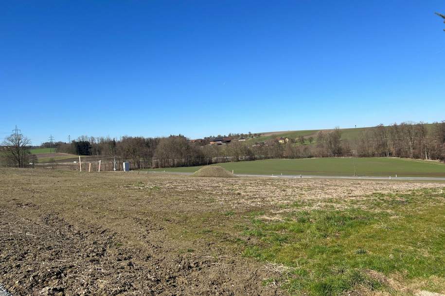 Schön geschnittenes Grundstück in guter Lage Nähe Ortsbereich, Grund und Boden-kauf, 126.630,€, 4681 Grieskirchen