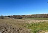 Schön geschnittenes Grundstück in guter Lage Nähe Ortsbereich