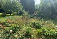 2 bis 3 Familienhaus mit Vollkeller, mit 4 Garagen, Brunnen und Werkstatt - sehr viel Wohnraum- 4 Bäder
