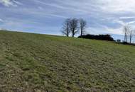 Sacherl mit ca. 15 ha Grund – Natur, Ruhe und viel Platz für Mensch und Tier