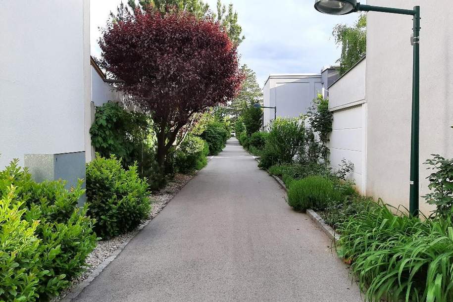 "HabenWollen!", Haus-kauf, 348.000,€, 2344 Mödling