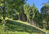 Ein Juwel, ein Sacherl des 18. Jahrhunderts – Historisches Anwesen mit modernem Wohntraum und idyllischem Grundstück!