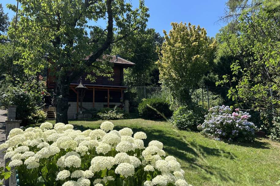 Neustift am Walde + FERNBLICK + RUHELAGE + EIGENGRUND!, Grund und Boden-kauf, 450.000,€, 1190 Wien 19., Döbling