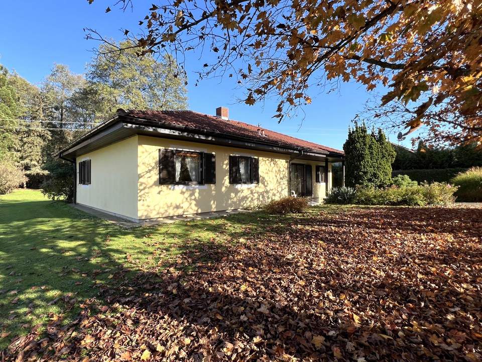 Sofort bezugsfertiger Bungalow mit Grundstücken und Wäldern: 21.941 m² in idyllischer Natur!