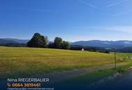 Rarität: Wunderschönes Grundstück mit eigenen Quellenanteil in Wenigzell zu verkaufen!