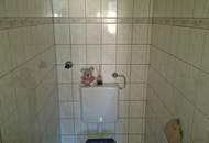 Wohnen mit Aussicht und doch Zentral