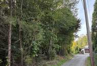 Wald am Stadtrand von Graz – 41.598 m² Natur als bleibender Wert