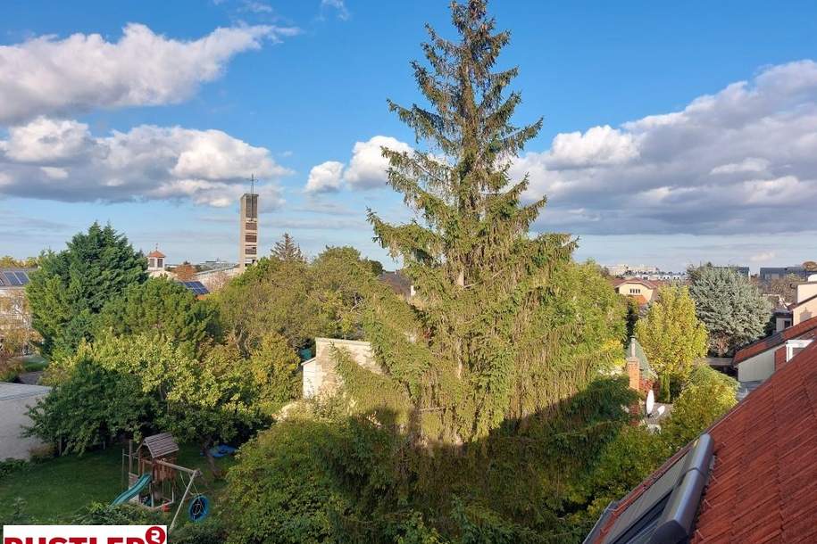 Seltene Investmentchance: Top sanierte Wohnung mit Terrasse, Wohnung-kauf, 539.000,€, 2340 Mödling