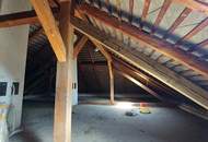 Geräumiges Haus in schönster Güssinger Lage